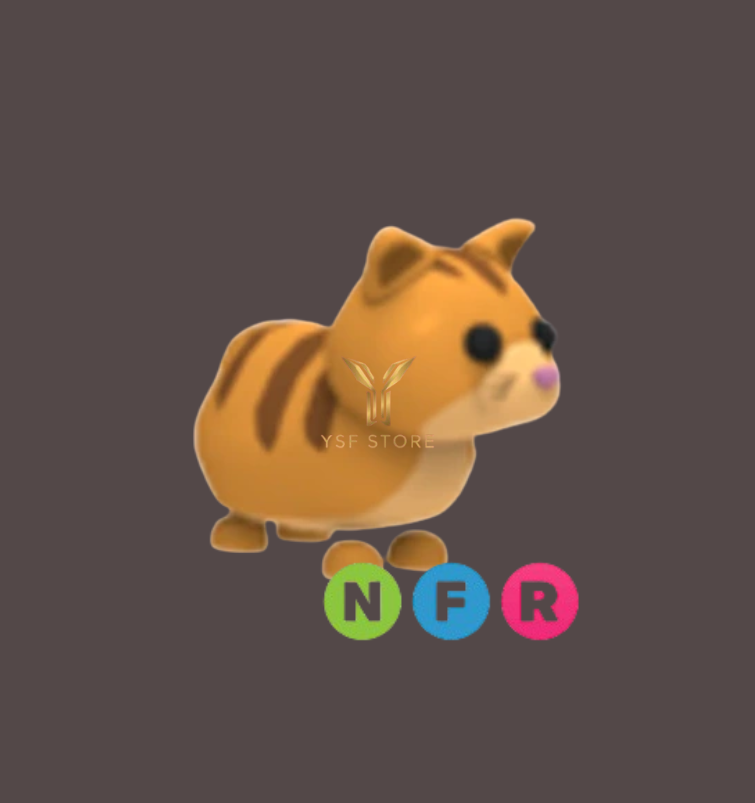 NFR Ginger Cat