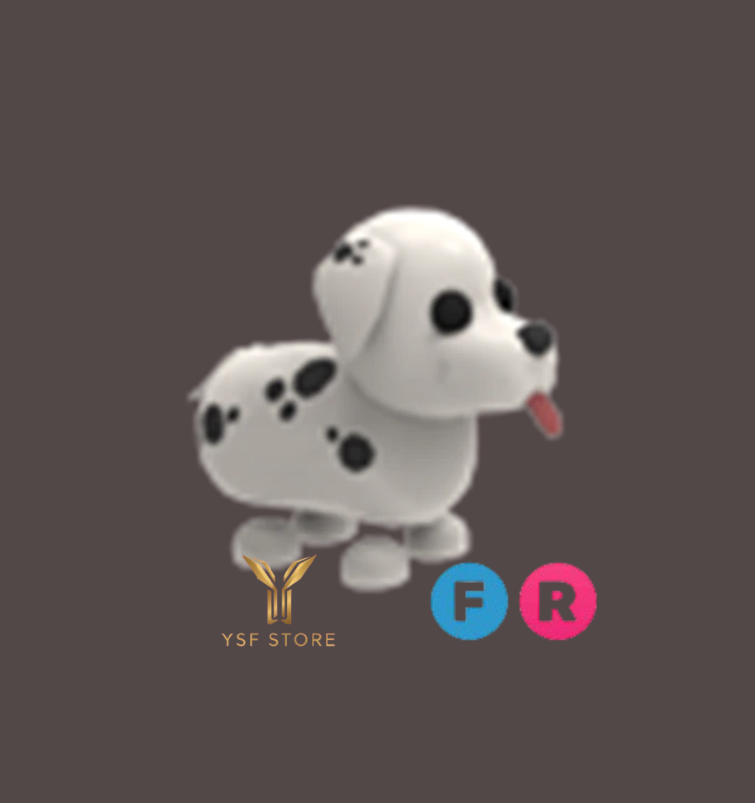 FR Dalmatian