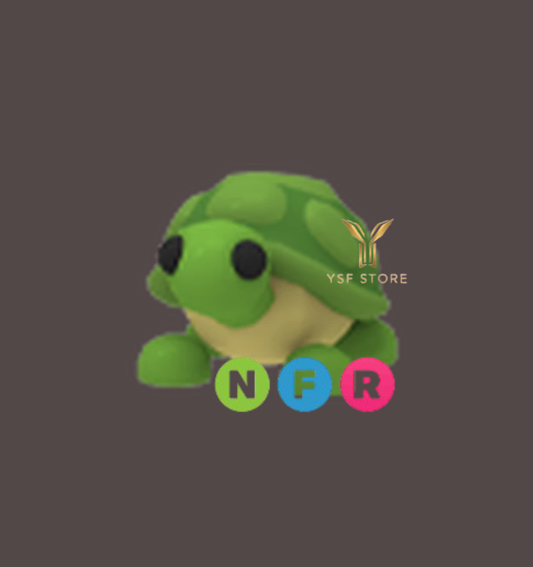 NFR Turtle