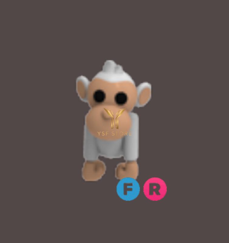 FR ALBINO MONKEY